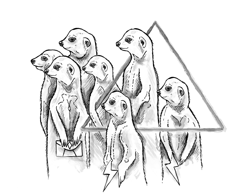 meerkats-animal
