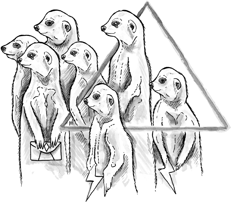 meerkat illustration