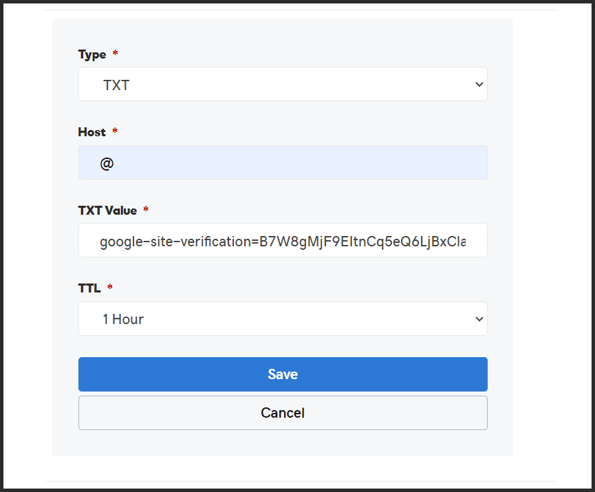 Input Google Postmaster Tools TXT record: GoDaddy