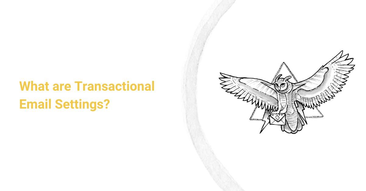 What are Transactional Email Settings? cover