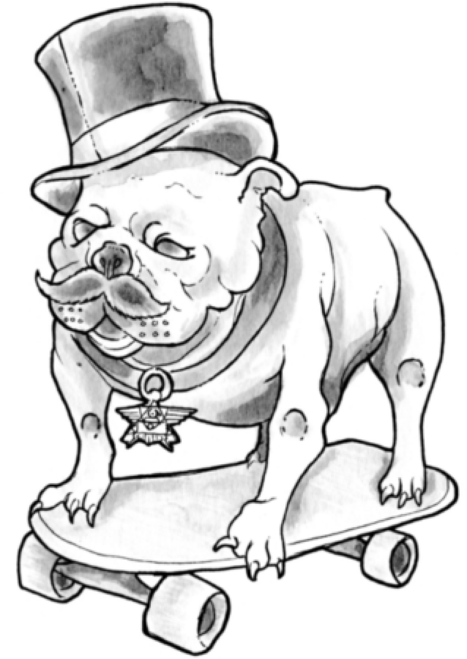 bulldog01