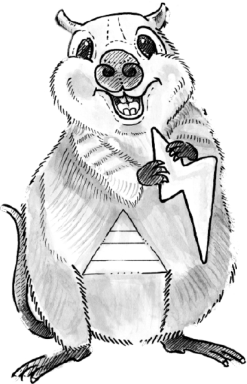 crop-0-0-420-653-0-quokka-animal.png