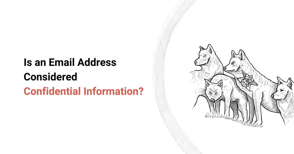 Is an Email Address Considered Confidential Information? cover