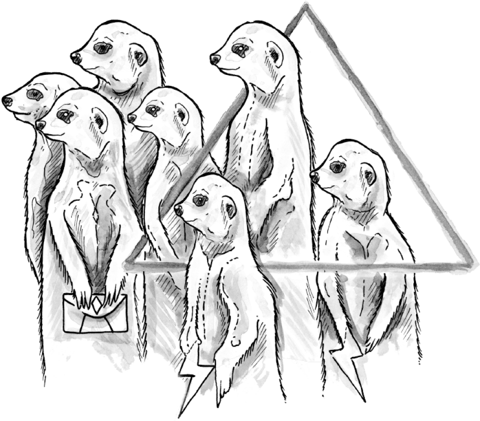 meerkat illustration