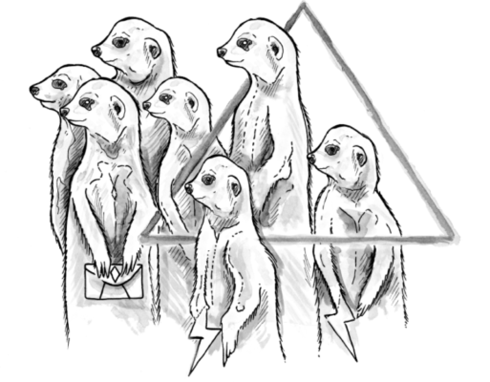 meerkats02