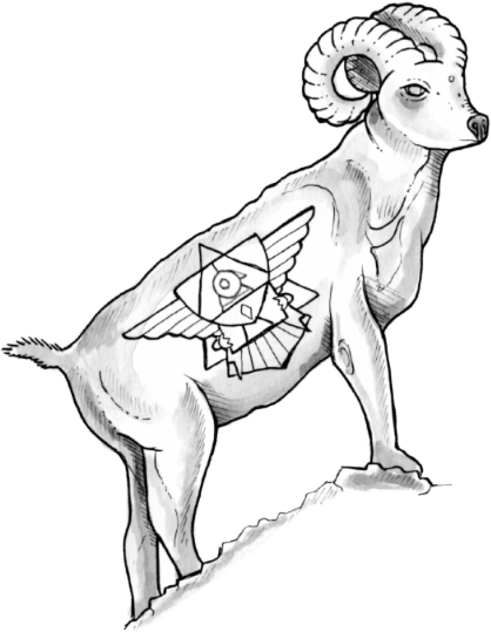 ram illustration