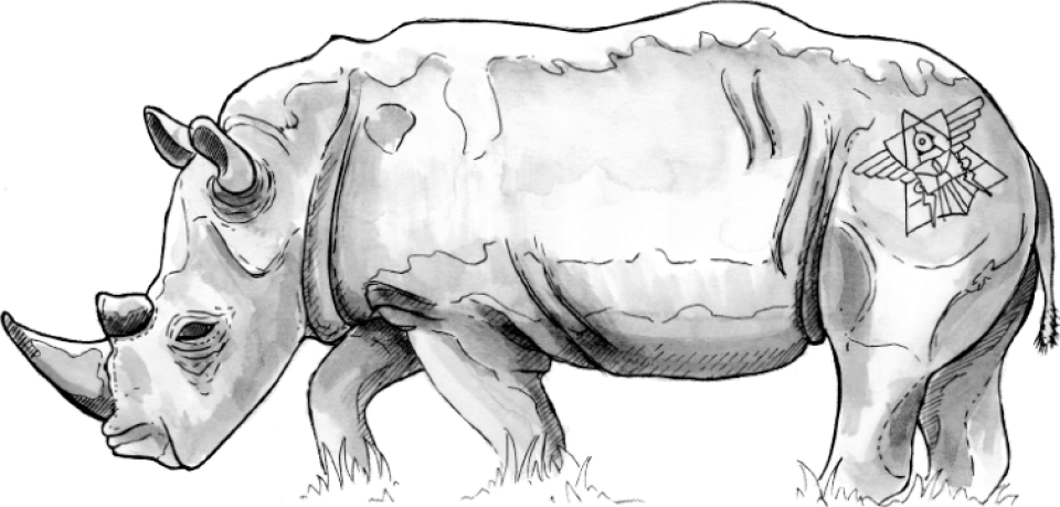 rhino illustration