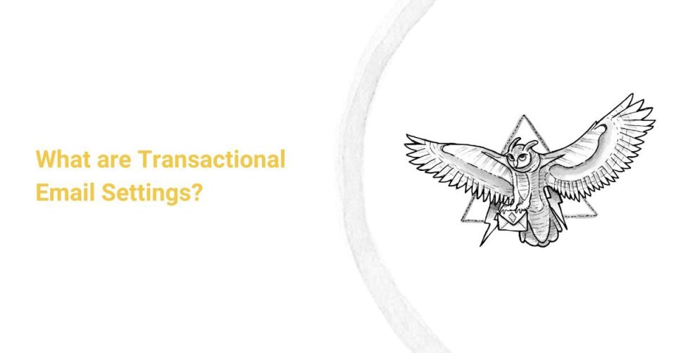 What are Transactional Email Settings? cover
